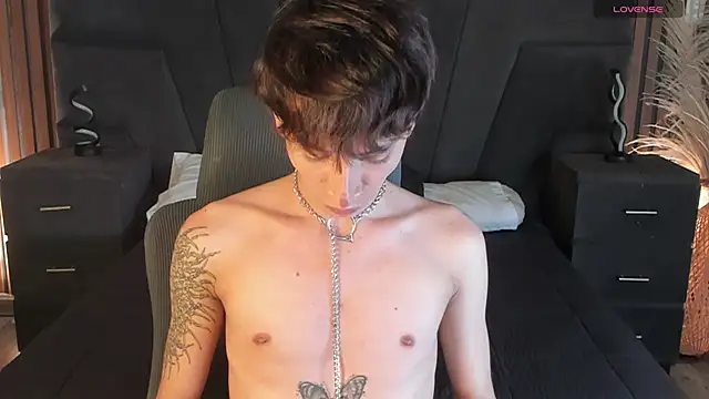 AndyWiilliams webcam