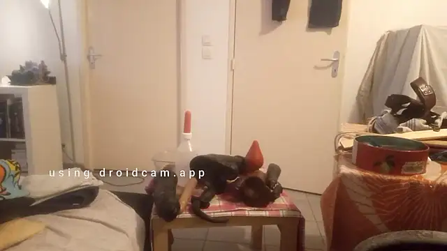 Preview of mastersanges