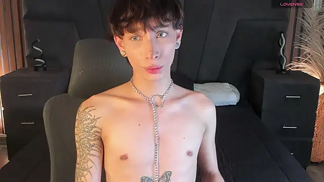 AndyWiilliams webcam