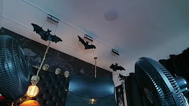 alexhoe_ (F young) - Choose the goal with a poll