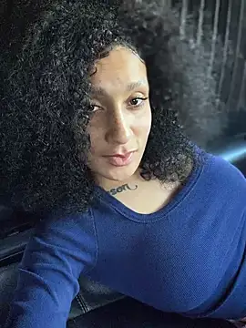 FerrariFrench webcam