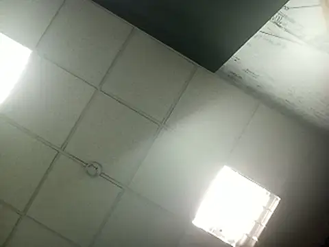 Gury_tattoo Live Webcam on Stripchat