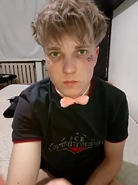 Paradeevich_And webcam