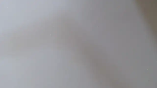 skinnyverus18 webcam