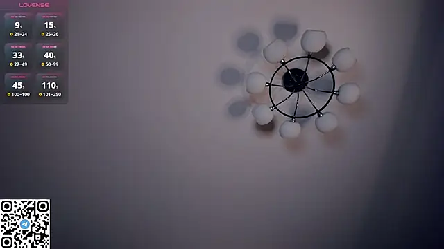 RonnieSchmertz webcam