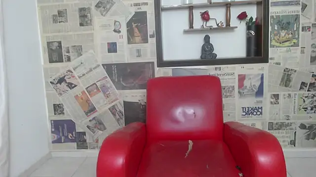 sebastian_rougue webcam