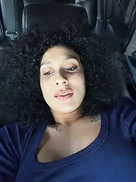 FerrariFrench webcam