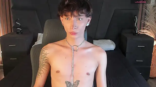 AndyWiilliams webcam