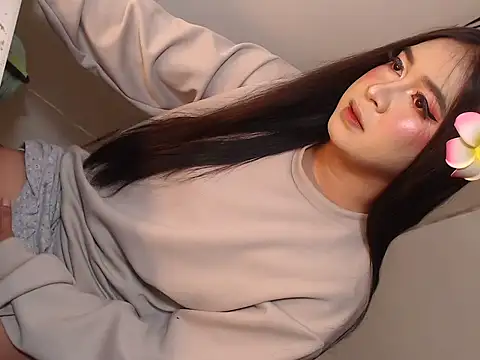 camelastarsairo webcam