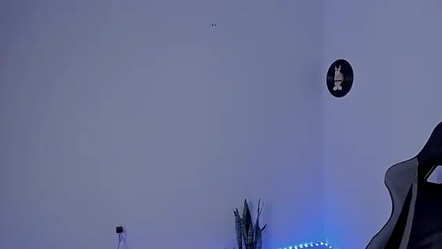 star_shooting8 webcam