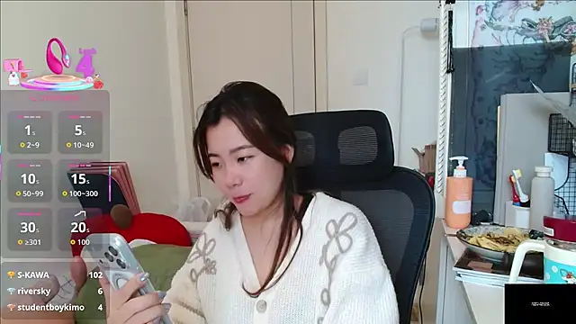sallycui webcam