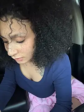 FerrariFrench webcam