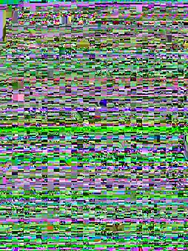 Webcam Model (Sosexy-today)  is live.Free join now!