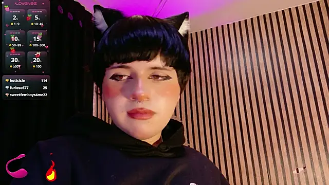 Hiddenhotcake webcam