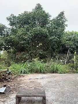 Preview Naughty___asian