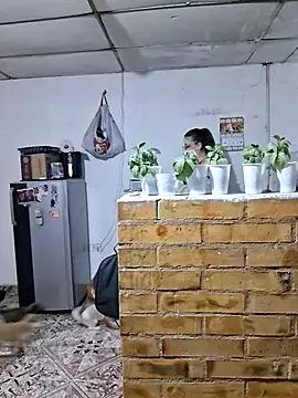 old_soul_and_young_spirit webcam