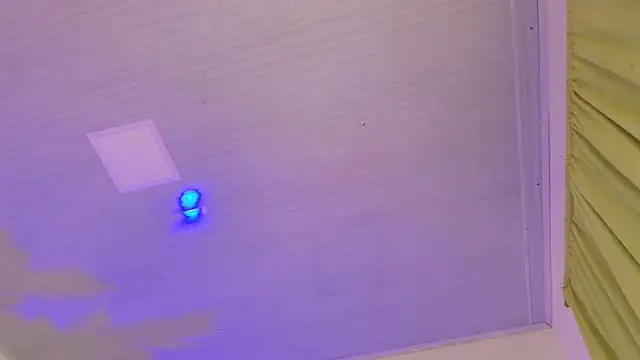 Pammela_Smith webcam