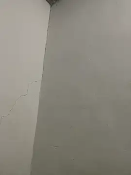 RAMONA_and_ROGER webcam