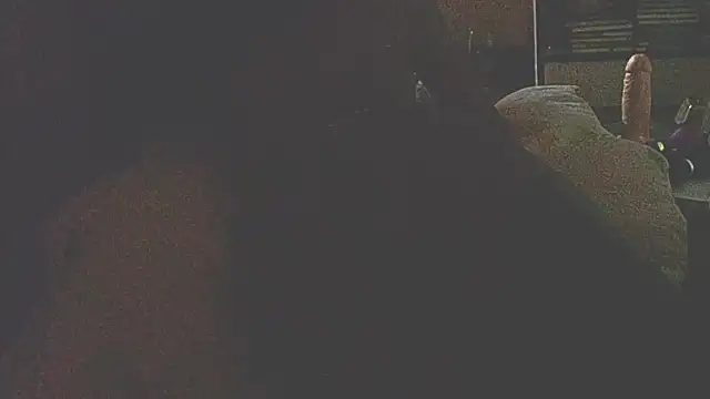 liandragostosa webcam