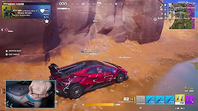 bottombeargaming webcam