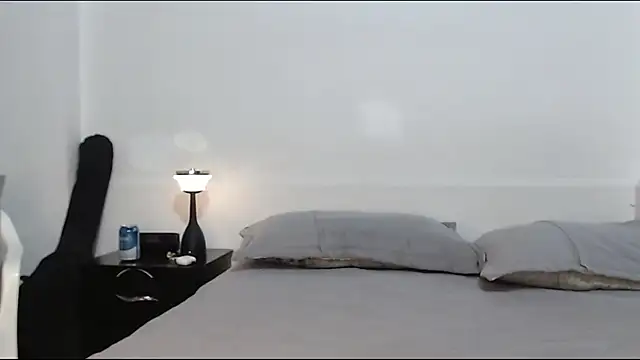 Frank_Millers webcam