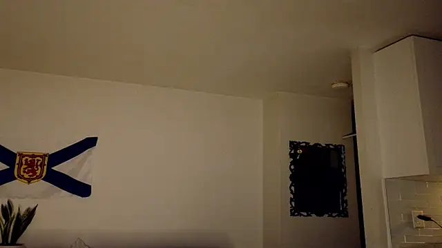 FreckleFaceBeauty webcam