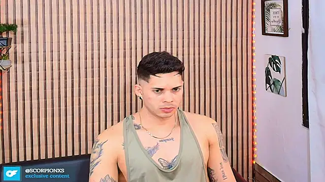 johan_speitzer webcam