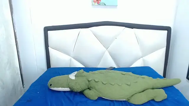 Madison_Copers webcam