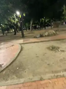 Datoka_adrenaline webcam