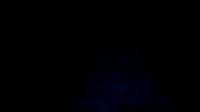 thehoneycouple420 webcam