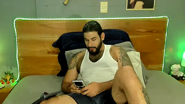 Prometeo-grizzly webcam