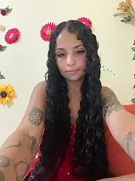 SpidderSecret webcam