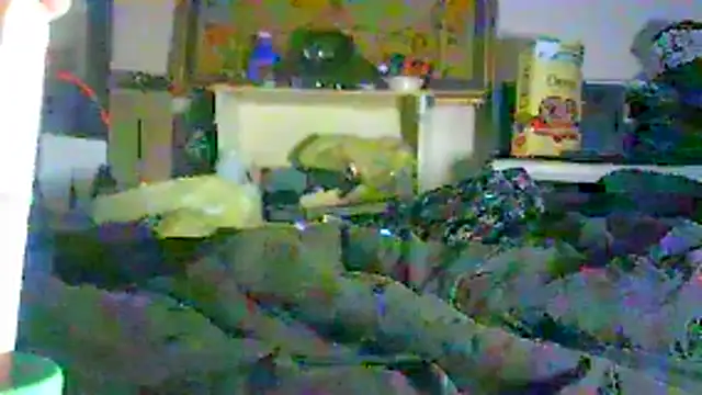 GUAPAN3S3_FIR3 webcam