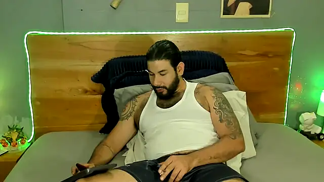 Prometeo-grizzly webcam