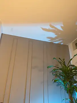 Frank_Farrell webcam