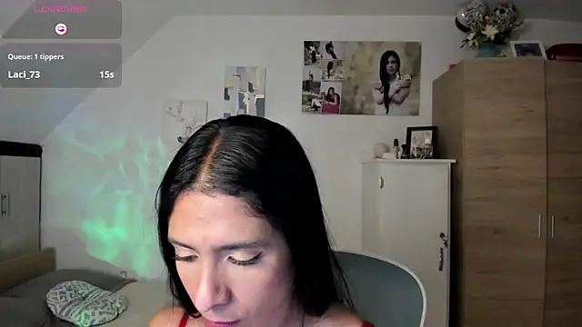 Veronikolsen- webcam