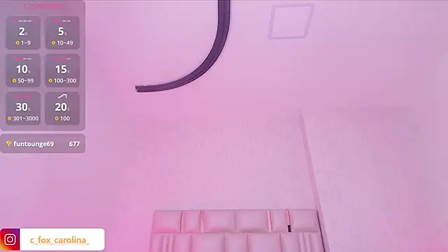 _carolina_fox webcam