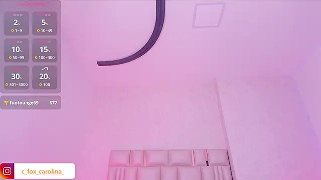 _carolina_fox webcam