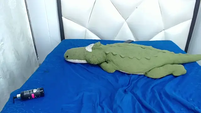 Madison_Copers webcam