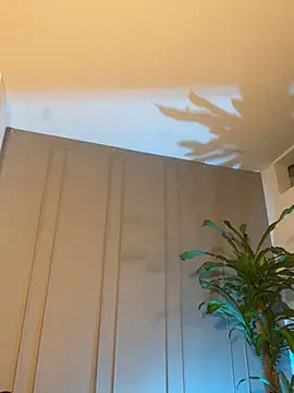 Frank_Farrell webcam