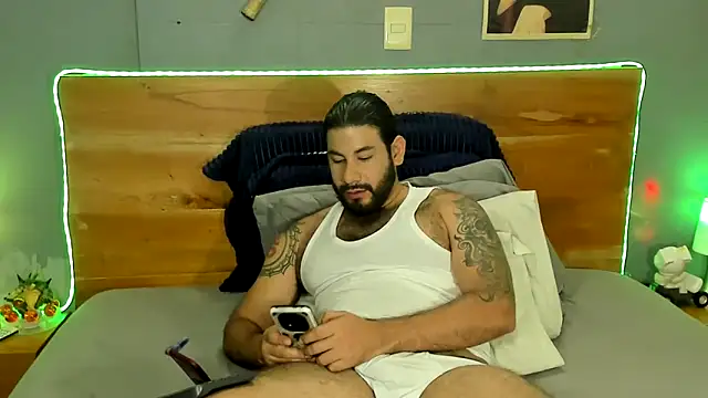 Prometeo-grizzly webcam