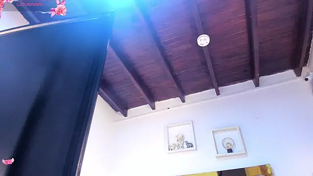 vahiolet_fuentes webcam