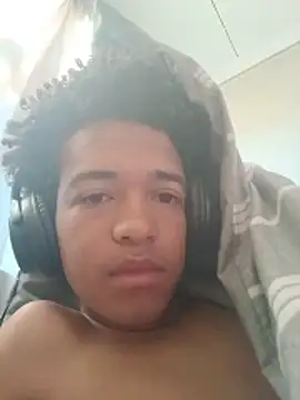 TheRiseOfDick webcam