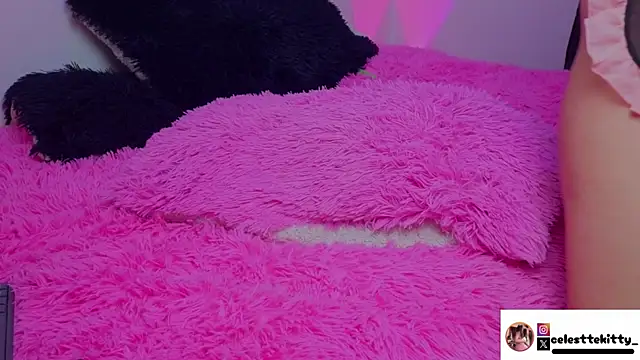 celestte_evans_1 webcam