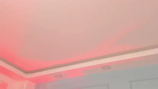 regina_noctixx webcam