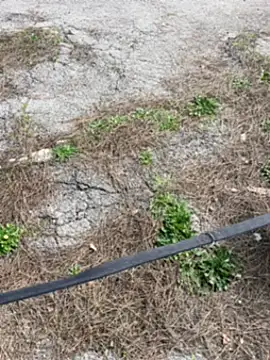 anonimo7735 - ANONIMO7735's free webcam - UK Sex Cams