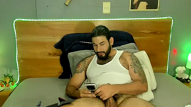 Prometeo-grizzly webcam