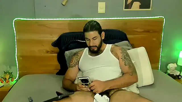 Prometeo-grizzly webcam