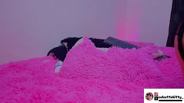 celestte_evans_1 webcam