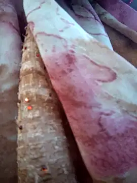 Webcam Model (Monika_thakurr) is live